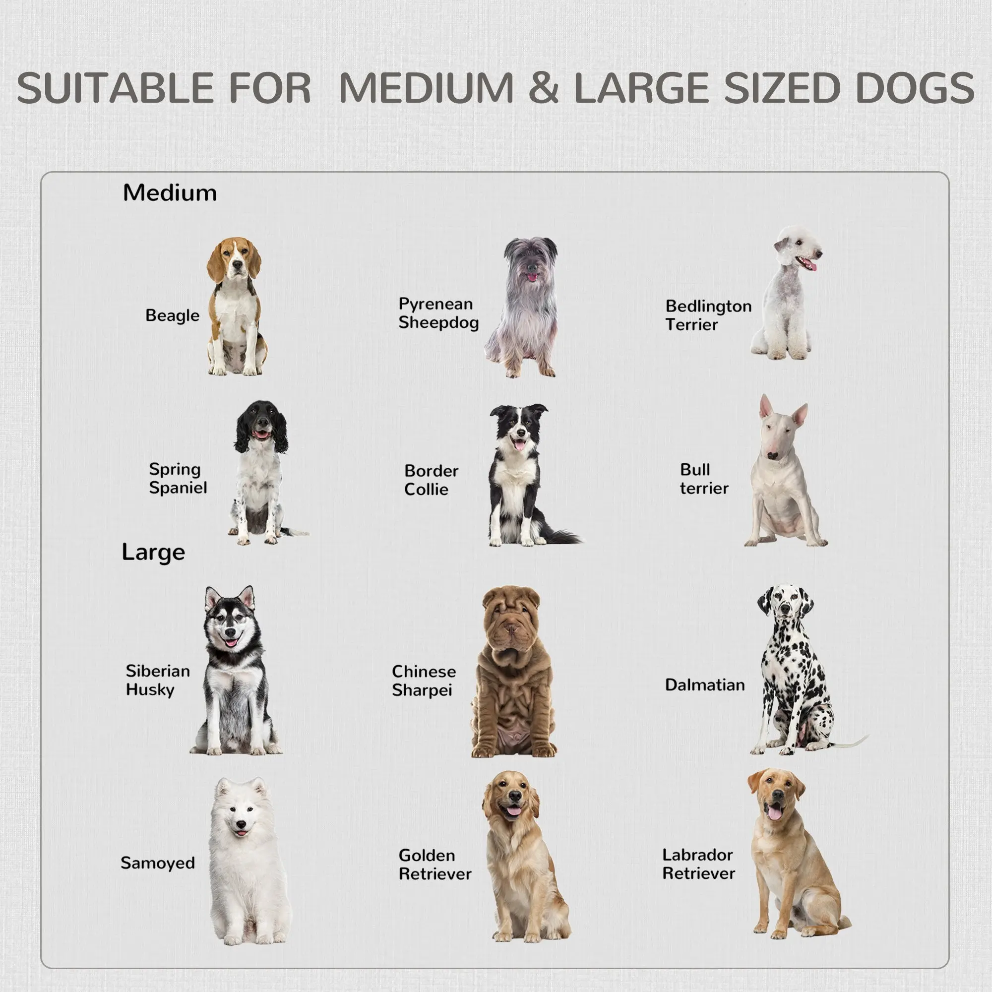 Elmer Large Dog Kennel Crate Furniture - Image 7