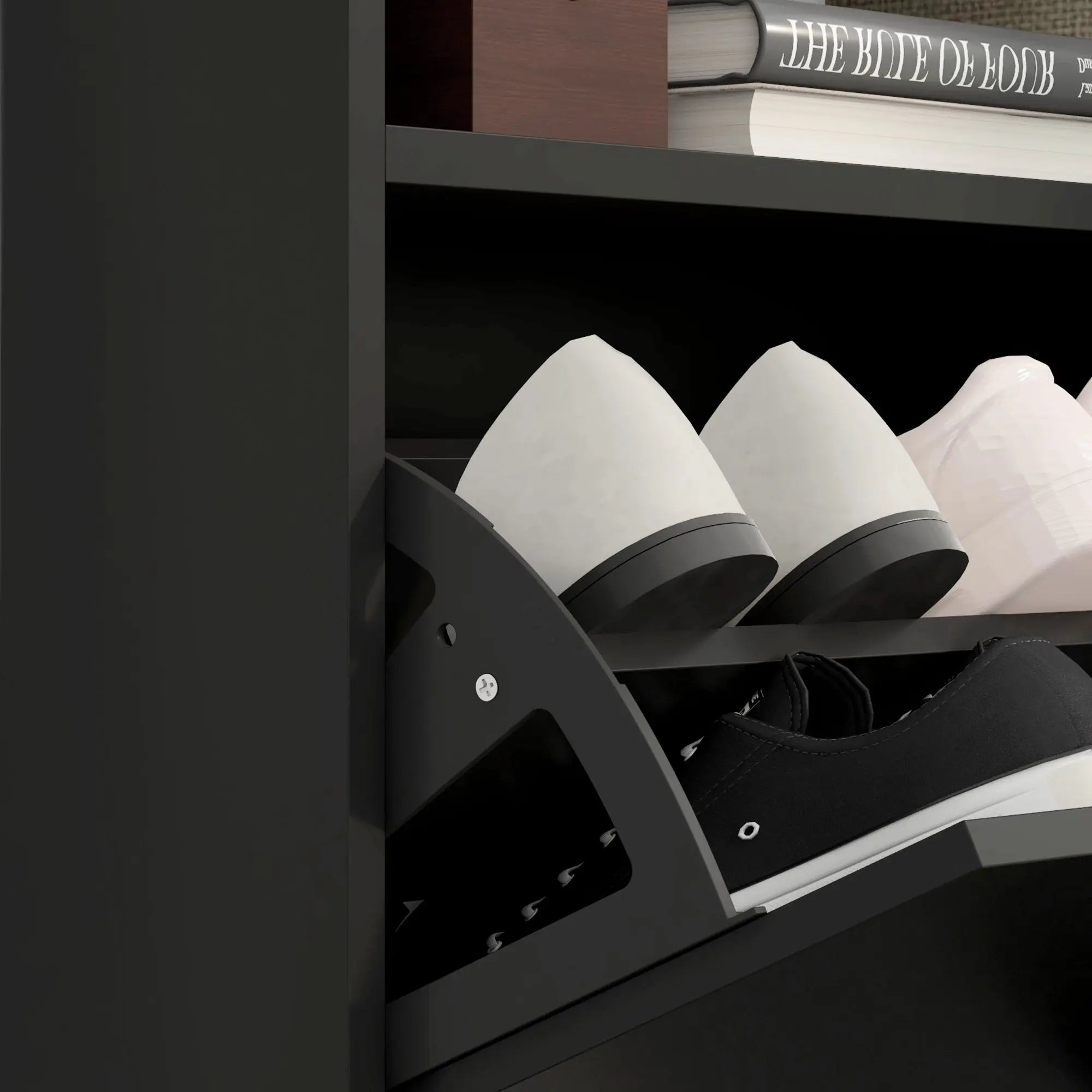 Moss Wall Mounted Shoe Storage Cabinet - Image 7