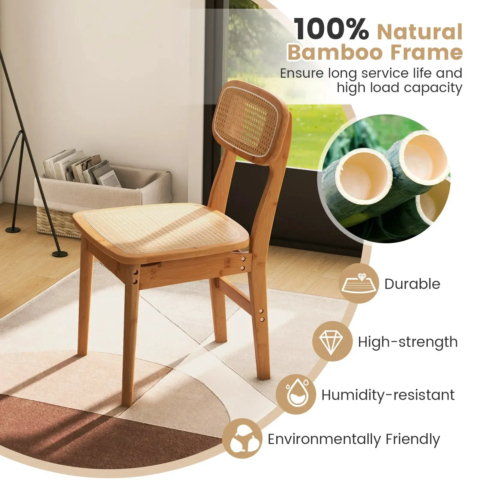 Rocha Mid Century Rattan Dining Chair (Set of 2) - Image 5